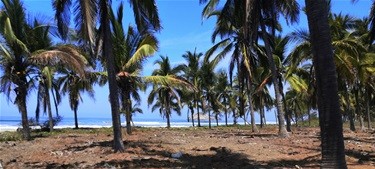 VISTA-DESDE-LOS-TERRENOS-DE-PLAYA~2